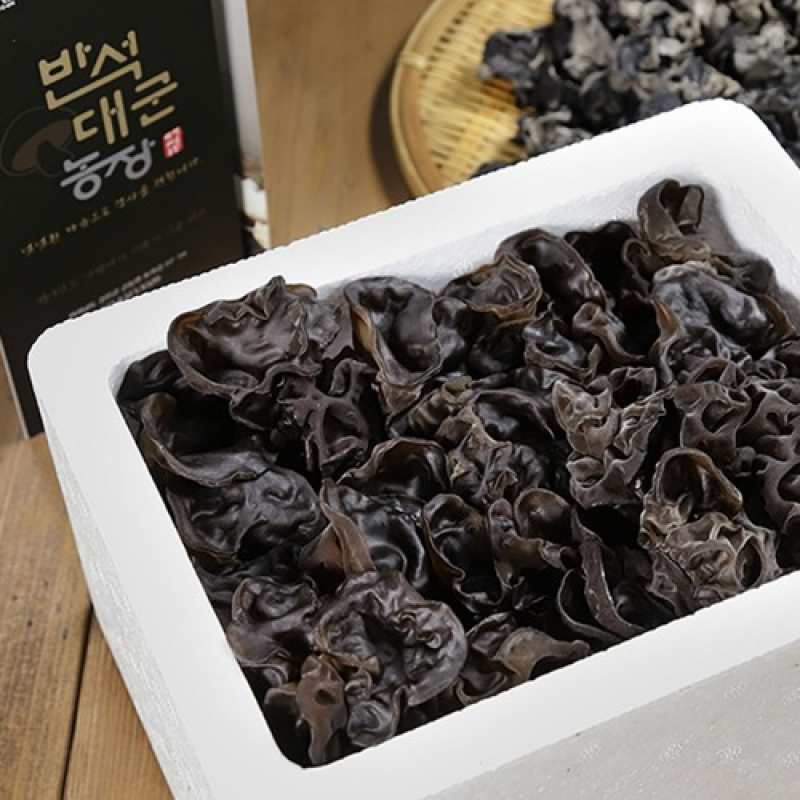 (반석대군농장) 식이섬유와 수분이 풍부한 생 목이버섯 (500g/1kg)