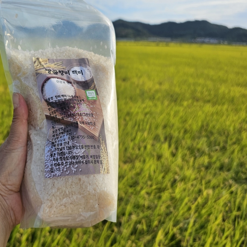 2023년 땅끝향미 쌀 백미 3kg