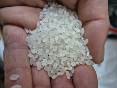 (영암군농협쌀조합) GAP인증시설 23년 아라주는쌀 20kg