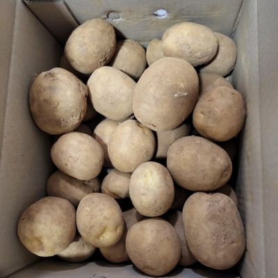 [농식품바우처] (남도사랑) 24년 수확 전남 포슬포슬 햇 수미감자 (3kg/5kg/10kg)
