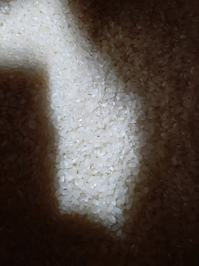 (황토사랑) 황토밭푸드 23년산 건강밥상 쌀 20kg