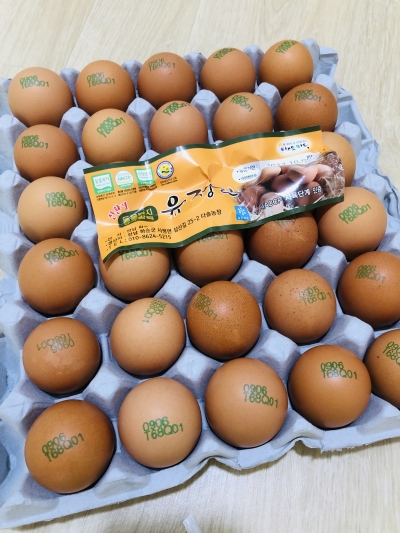 [농식품바우처] (더디오) 유정란 무항생제 계란 난각번호1번 (30구/60구)