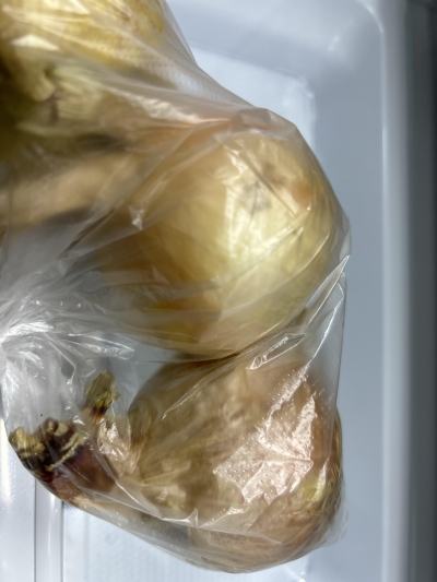 (더디오) 24년산 무안황토 햇 양파 흰양파 3kg/5kg/10kg