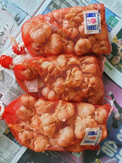 [농식품바우처] (영흥농산) 23년산 황토랑 통마늘 1kg~5kg (알싸한 남도마늘)