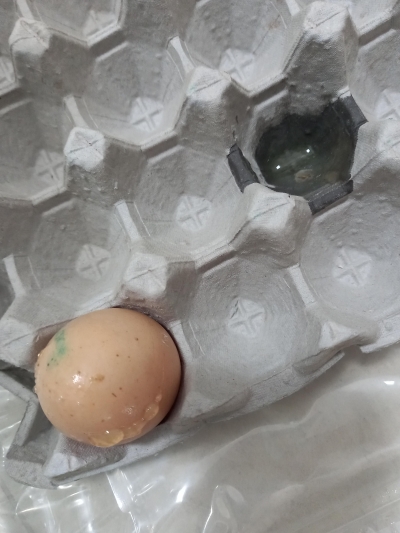 [농식품바우처] (더디오) 유정란 무항생제 계란 난각번호1번 (30구/60구)