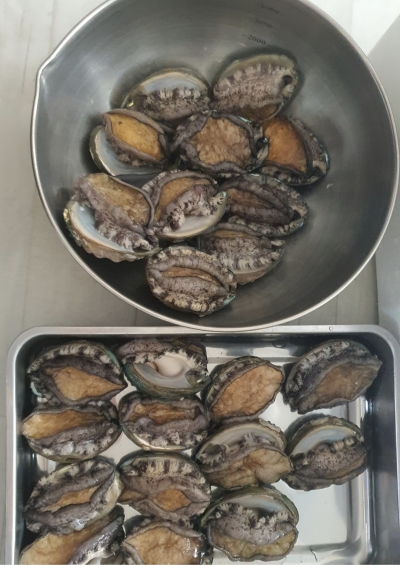 (완도맘) 맛도 으뜸, 품질도 으뜸 완도 활전복 1kg (10-11미) +선물포장가능