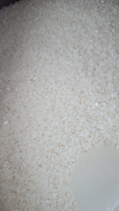 (금호미곡) 2023년 햅쌀 햇살담은 새청무쌀(단일품종) 10kg