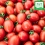 (에코한마음) 건강한 땅에서 자란 친환경 무농약 대추방울토마토 (2.5kg/5kg)