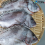 (여수동동식품) 반건조 딱돔(어름돔) 3마리 (750g내외)