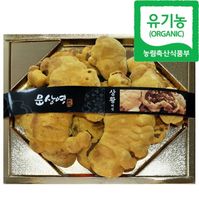 (한국기능성버섯) 유기농 상황버섯 특품 (250g/500g)